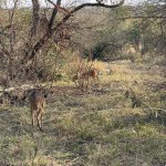IMG_4894.jpeg