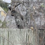 IMG_4872.jpeg