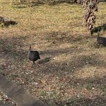 IMG_4882.jpeg
