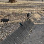 IMG_4881.jpeg