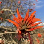 IMG_4903.jpeg