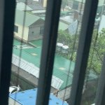 IMG_4138.jpeg