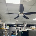 IMG_3335.jpeg