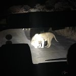 IMG_4939.jpeg