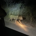 IMG_4926.jpeg