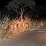 IMG_4960.jpeg