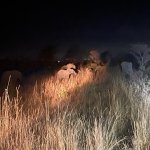 IMG_4975.jpeg