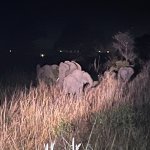 IMG_4976.jpeg