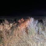 IMG_4956.jpeg