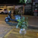 IMG_2771.jpeg