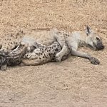 IMG_5010.jpeg
