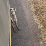 IMG_5002.jpeg