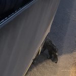 IMG_5001.jpeg