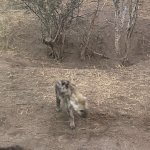 IMG_4998.jpeg