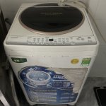 IMG_9534.jpeg