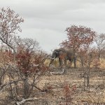 IMG_5043.jpeg