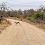 IMG_5041.jpeg