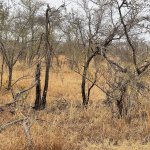 IMG_5057.jpeg