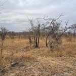 IMG_5058.jpeg
