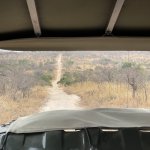 IMG_5055.jpeg