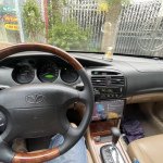 IMG_4148.jpeg