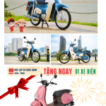 CUB FINAL (2).png