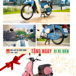 CUB FINAL.png