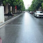 IMG_9423.jpeg