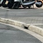IMG_5681.jpeg