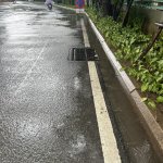 IMG_5698.jpeg