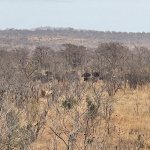 IMG_5052.jpeg