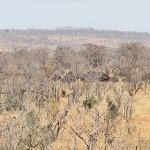 IMG_5051.jpeg