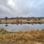 IMG_5034.jpeg