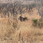 IMG_5066.jpeg