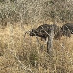 IMG_5072.jpeg