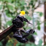 IMG_5296.jpeg