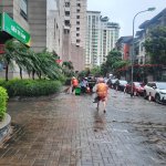 IMG_3621.jpeg