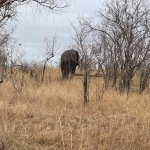 IMG_5063.jpeg