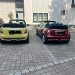 IMG_7951.jpeg