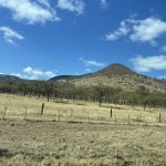 IMG_5094.jpeg