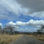 IMG_5087.jpeg