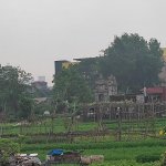 IMG_20250814_093626.jpg