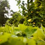 IMG_2055.JPG