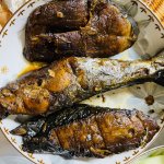 IMG_4187.jpeg