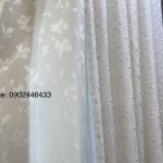 66790CF0-05BC-469A-B129-8F6BA4F840DB.jpeg