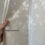 645AD2E5-2984-42D6-B305-DD6542BA1116.jpeg