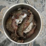 IMG_4076.jpeg
