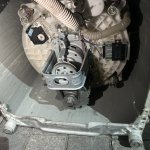 IMG_8950.jpeg