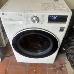 IMG_8750.jpeg