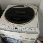 IMG_9535.jpeg